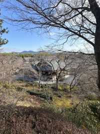 Kyoto: The Timeless Heart of Japan’s Culture and Tradition
