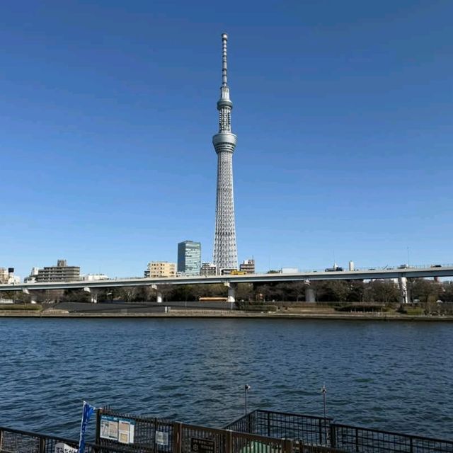 Tokyo Skytree: Japan’s Towering Symbol of Innovation and Elegance