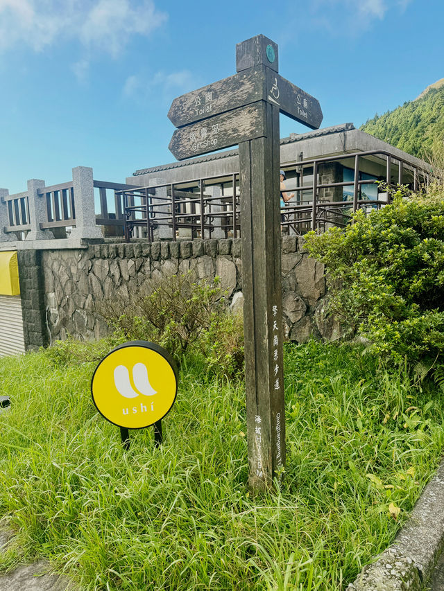 冷水坑步道⛰️芒草季✨