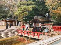  【京都】お守りが可愛いすぎ！世界遺産の下鴨神社