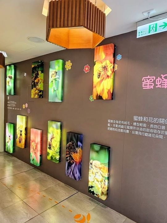蜂之鄉 - 鳳林蜜蜂生態教育館