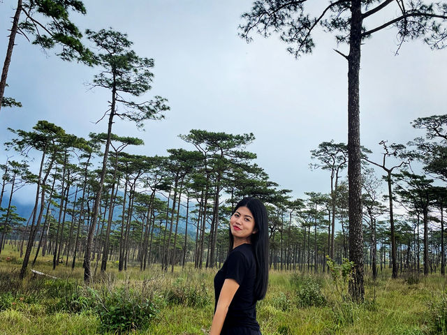 เดินเที่ยวลานสนสามใบภูสอยดาว