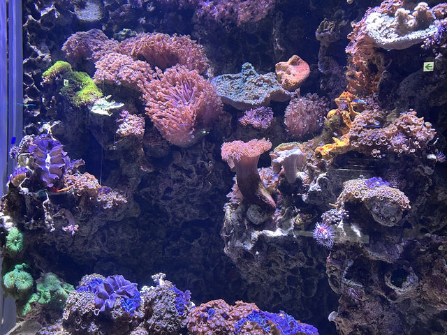沖繩的5日行程