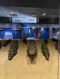 악어 미라가 있는 이집트 콤옴보 신전🐊