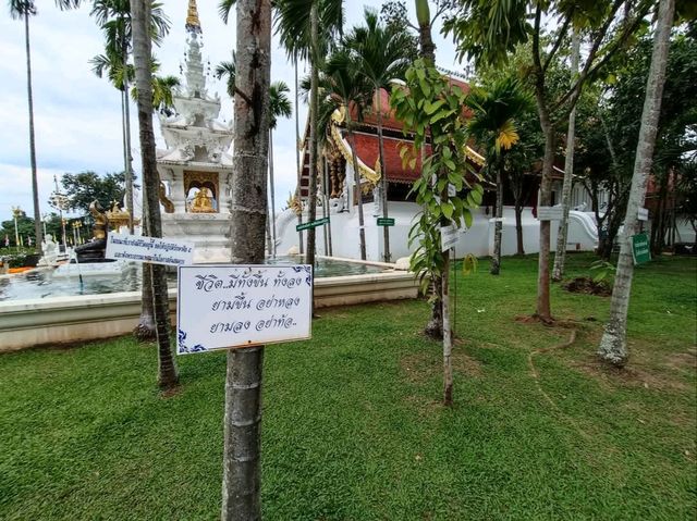 สัมผัสความสงบ กันที่ วัดป่าดาราภิรมย์