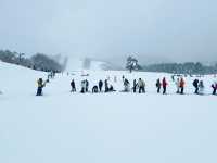 หนีร้อนไปเล่นสโนบอร์ดที่ Inwashiro Snow Paradise