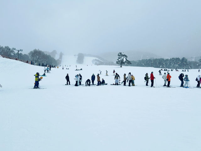 หนีร้อนไปเล่นสโนบอร์ดที่ Inwashiro Snow Paradise