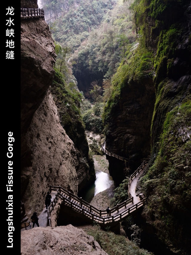 Wulong’s Heaven Pit & Earth Crack: A Natural Marvel Carved by Time