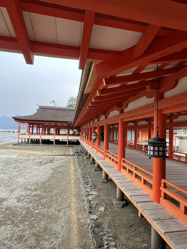 嚴島神社幾時去？潮退還是潮漲？why not both?