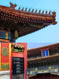 Explorong The Palace Museum, a highlight of my Beijing trip!