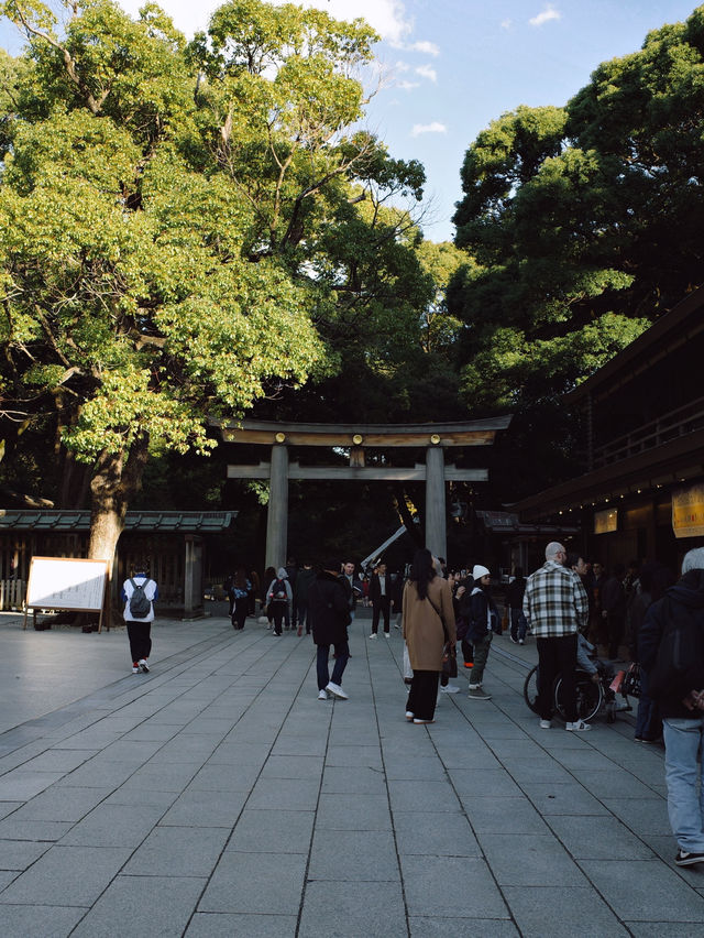 Meiji Shrine ศาลเจ้าแห่งความสงบใจกลางโตเกียว