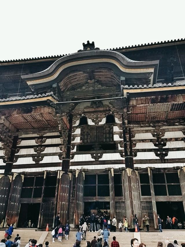 Tōdai-ji Temple: The Majestic Heart of Nara
