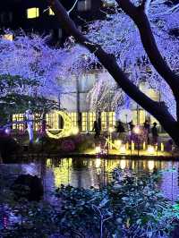 【東京×品川】