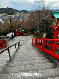 レトロタウン足利:まち歩きとパワースポット巡り  in栃木