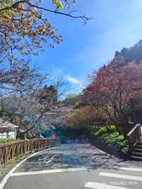 เตรียมตัวไป Alishan สายธรรมชาติห้ามพลาด ep.1
