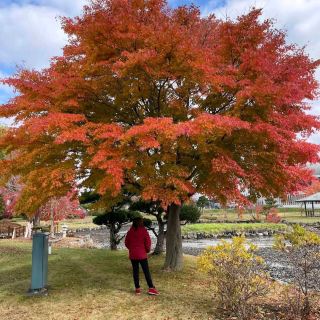 Date Rekishi no Mori Park