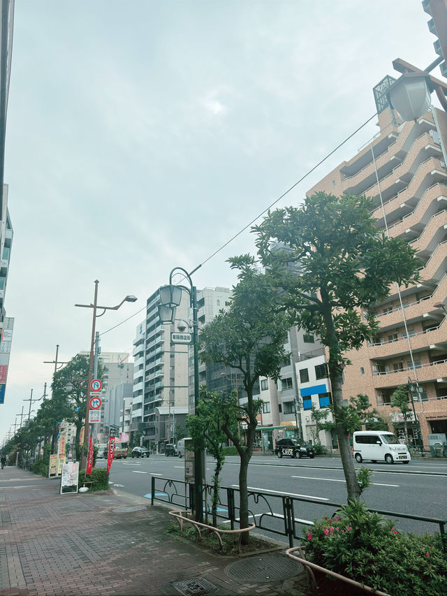 東京｜東陽町一日遊 🌸