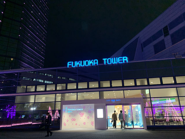 🗼 후쿠오카 타워, 하늘과 바다가 만나는 곳 🌊✨