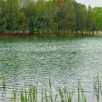 *Tiger Hill Wetland Park– Suzhou’s Urban Ecological Oasis