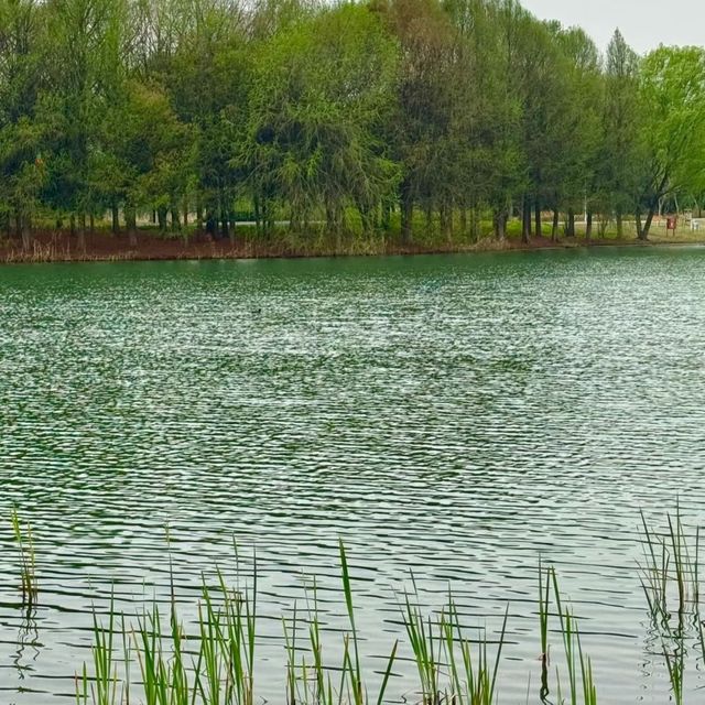 *Tiger Hill Wetland Park– Suzhou’s Urban Ecological Oasis