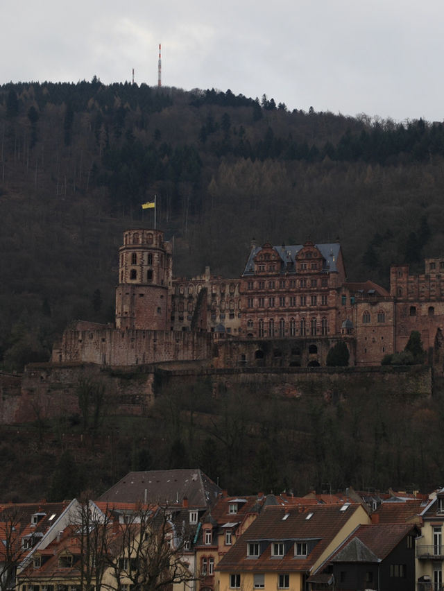 【ハイデルベルク🇩🇪】美しい古城が見える絶景スポット🤍