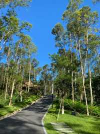 珠海紅花山森林公園,吸一口清新自由