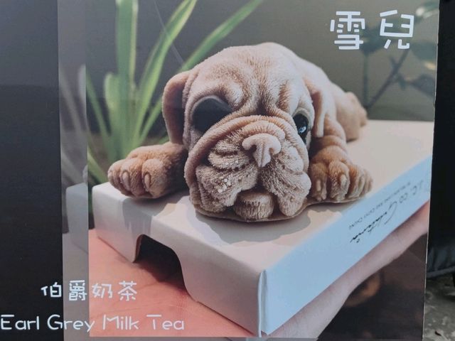 妳怎麼忍心將我吞下肚#藝術廚房-屏東縣屏東市