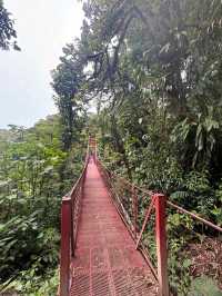 Monteverde Cloud Forest Reserve, Costa Rica – Misty Forest with a Green Soul