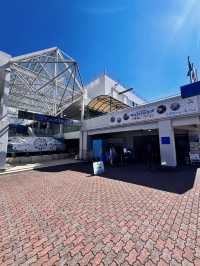 【三重】国内唯一ラッコが見られる鳥羽水族館🦦🦦