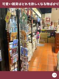 【台北女一人旅】何でも揃う穴場店！デザイン良しの可愛いお土産屋！