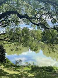 Guangzhou Botanical Garden A Lush, Living Museum in the Heart of the City