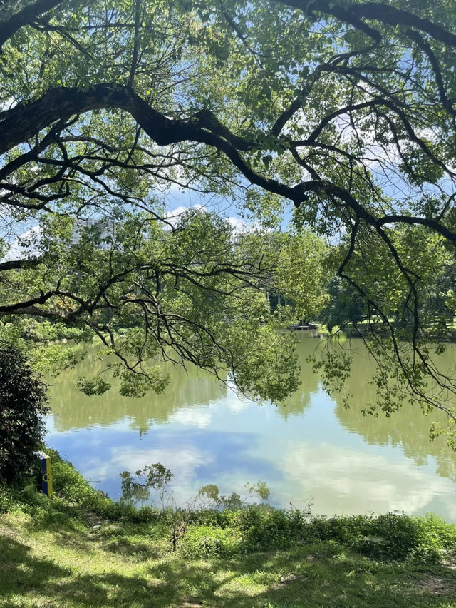 Guangzhou Botanical Garden A Lush, Living Museum in the Heart of the City