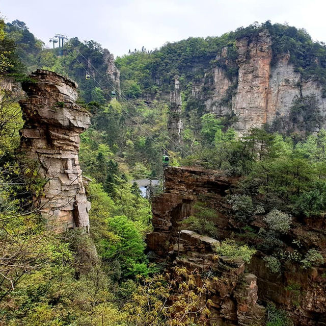 Zhangjiajie National Forest Park: A Natural Masterpiece