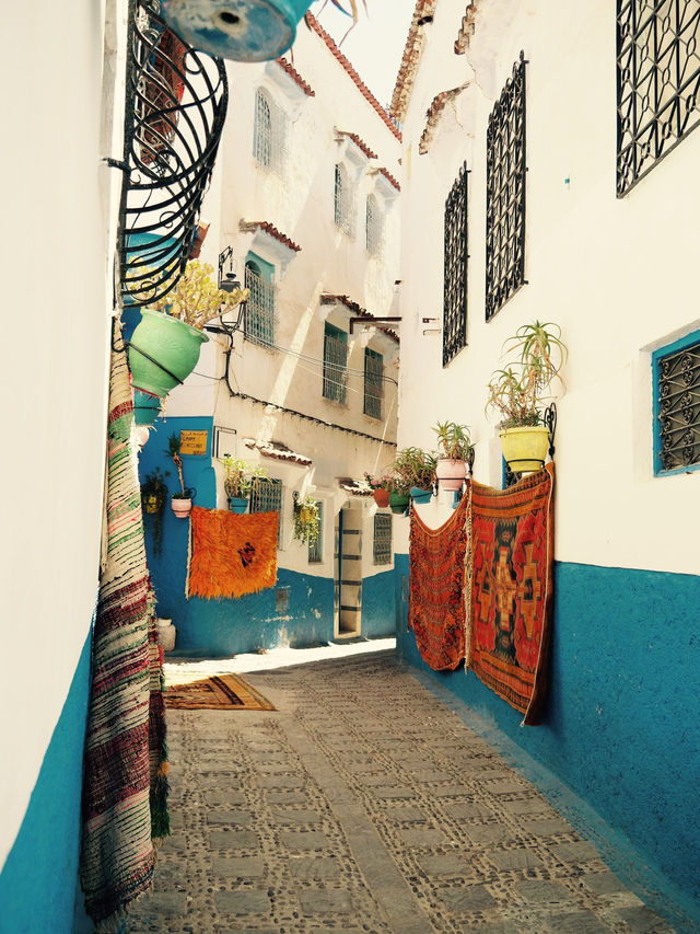 青と猫の街シャウエン　モロッコ🇲🇦