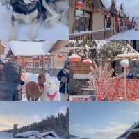 Snow Town Harbin! เมืองหิมะในฝัน 