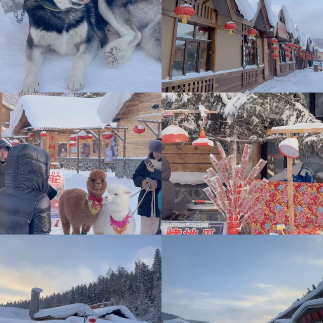 Snow Town Harbin! เมืองหิมะในฝัน 