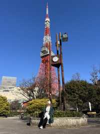 Tokyo Tower (โตเกียวทาวเวอร์)