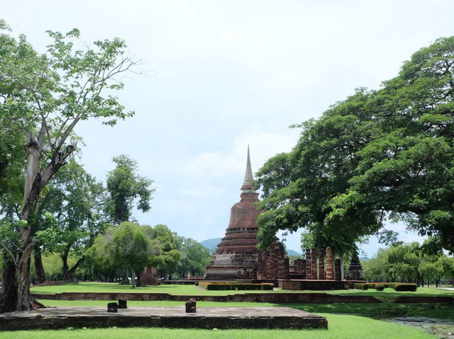 ปั่นจักรยาน ชมธรรมชาติและอุทยานประวัตศาสตร์สุโขทัย