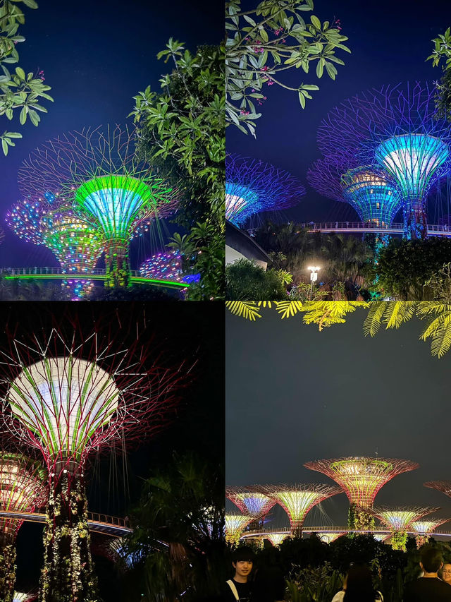 เที่ยวสิงคโปร์ งบ 16k
