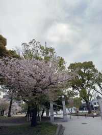 東京｜隅田川一日遊
