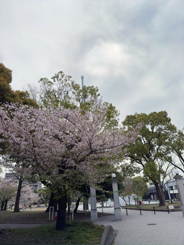 東京｜隅田川一日遊