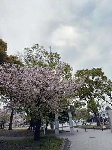 東京|隅田川での1日観光