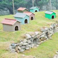 Dalat In the heart of District 7