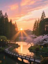 Blossoms and Beyond: Gucun Park’s Immersive Sakura Wonderland