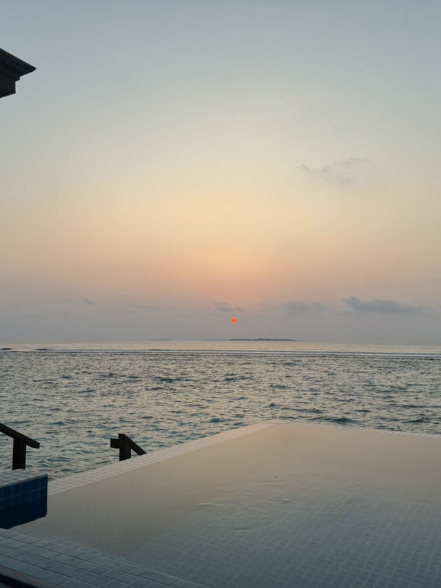 PERFECTION