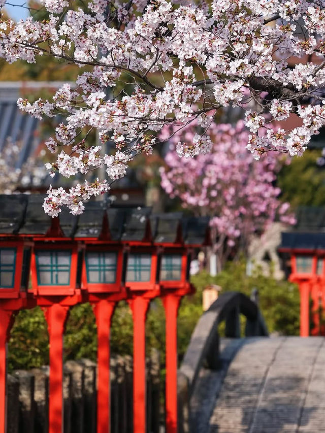 Rokusonno Shrine: Kyoto’s Hidden Sakura Sanctuary
