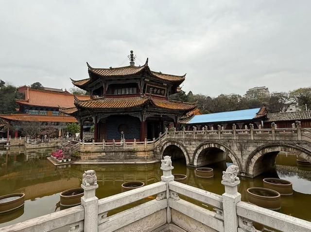 “Spring Serenity: Cherry Blossoms in the Heart of Kunming’s Temples”