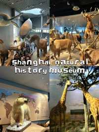 ชวนเที่ยว Shanghai natural history museum