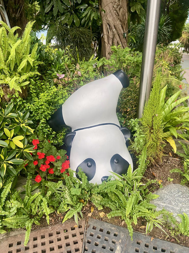 置身和式庭園🌷🦜體驗鳥語花香✨大埔海濱公園🏞️