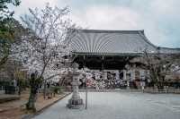 🌸 Shinnyo-do Temple: Kyoto’s Best-Kept Secret for Golden Hour Sakura 🌸